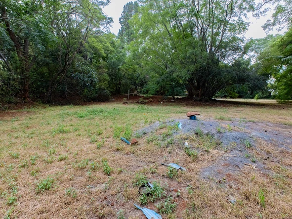 Stands & Residential Land