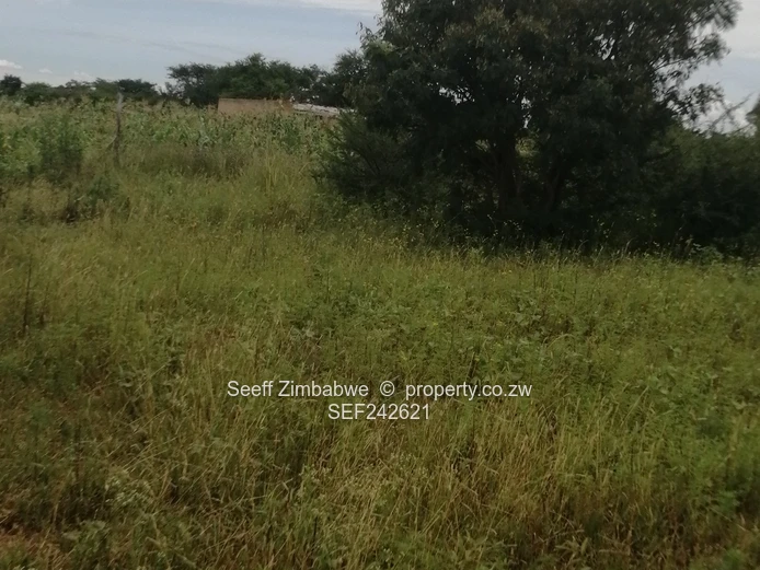 Rare Gem in Kensington, On Prime 8094 square meters virgin land in Bulawayo with Enormous Potential (Sole Mandate)