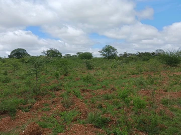 Farm & Agricultural Land