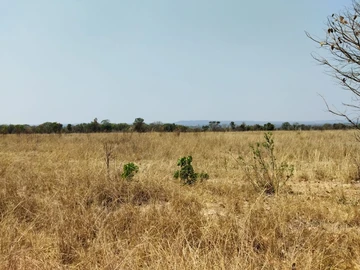 Farm & Agricultural Land