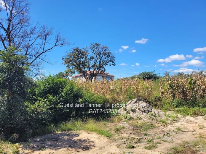 Stand For Sale  In Crowhill