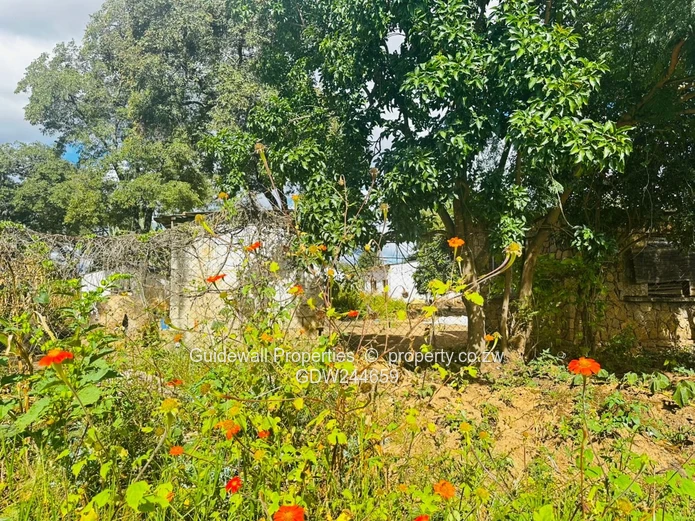 For Sale: 2.9ha Plot in Ruwa  (Sole Mandate)