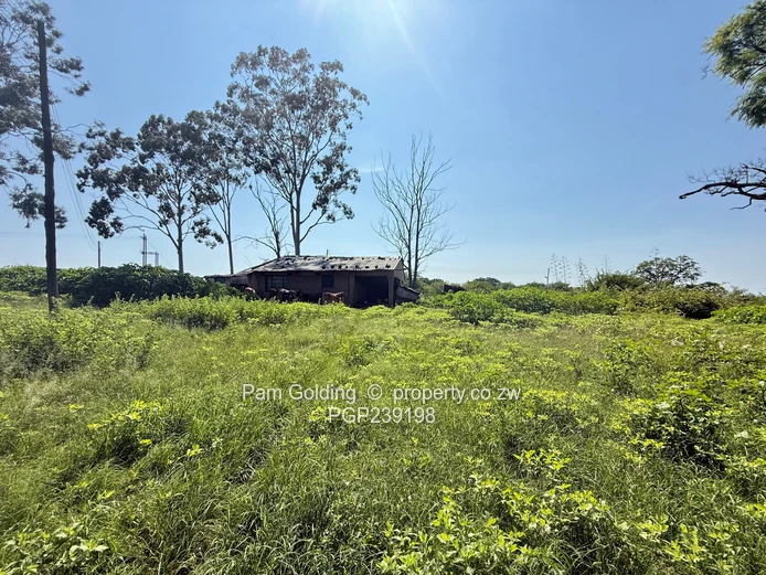 Nyamandlovu 1026 farm for sale