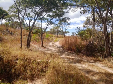 Farm & Agricultural Land