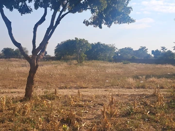 Farm & Agricultural Land