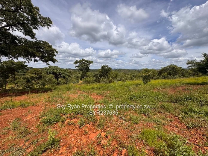 Shawasha Hills Estate Stands For Sale