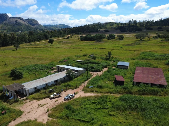 Farm & Agricultural Land