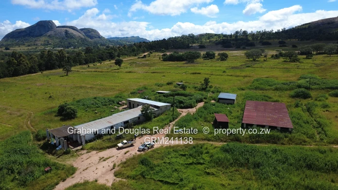 Farmland on Auction (Sole Mandate)