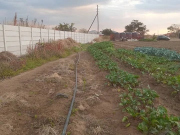 Farm & Agricultural Land