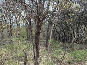 Farm & Agricultural Land