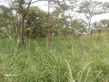 Farm & Agricultural Land