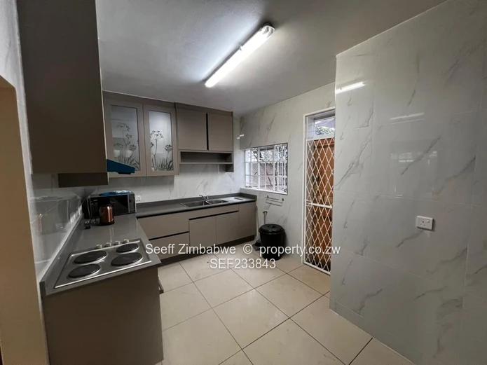 Luxurious Fully Furnished Duplex