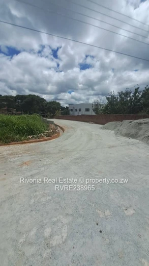 2000m² tree-lined stand with new paved road — Carrick Creagh