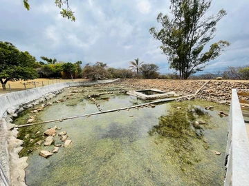 Farm & Agricultural Land