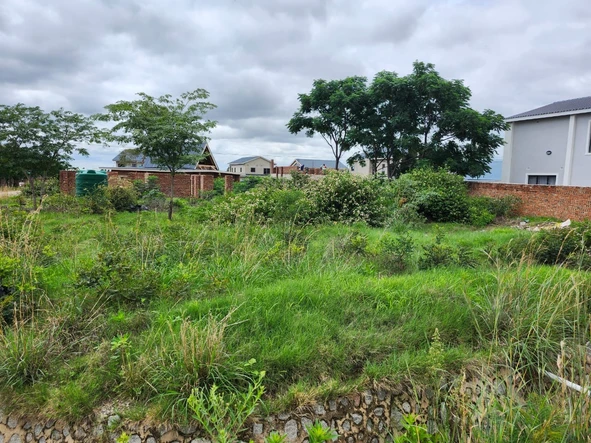 Stands & Residential Land