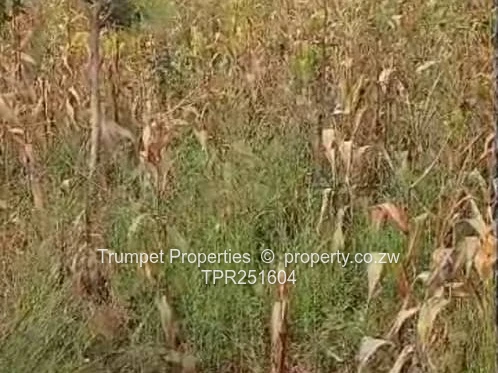 1000m2  Stand at Crowhill Views, Harare N – Gravel Road Access