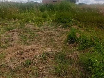 Commercial & Industrial Land