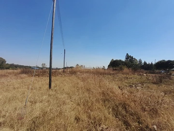 Farm & Agricultural Land