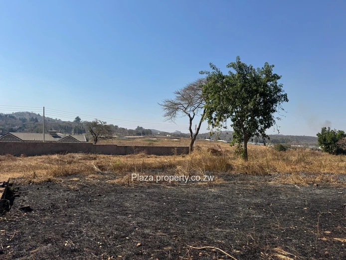 Prime Development Opportunity In Glenlorne
