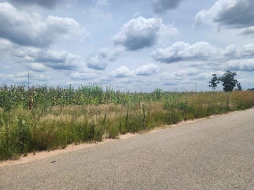 Stands & Residential Land