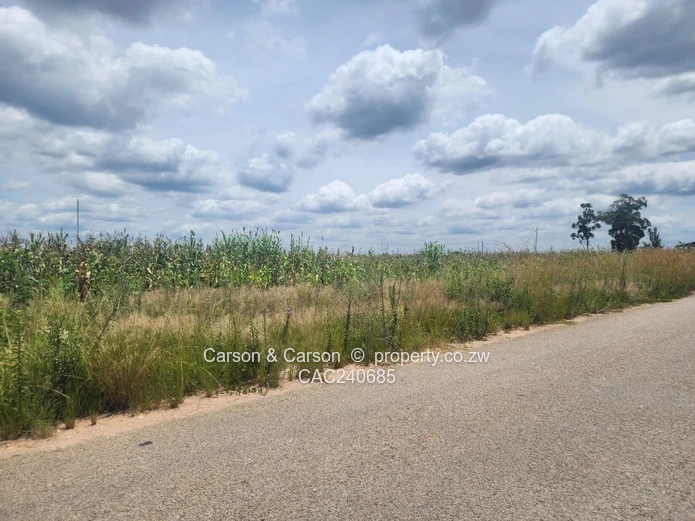 Never to be Missed!!!