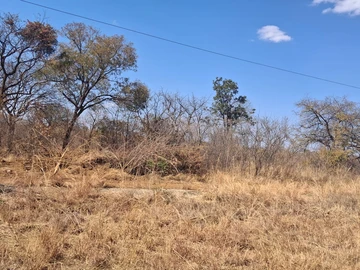 Farm & Agricultural Land