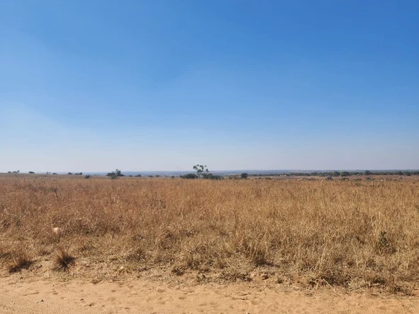 Farm & Agricultural Land