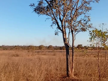 Farm & Agricultural Land