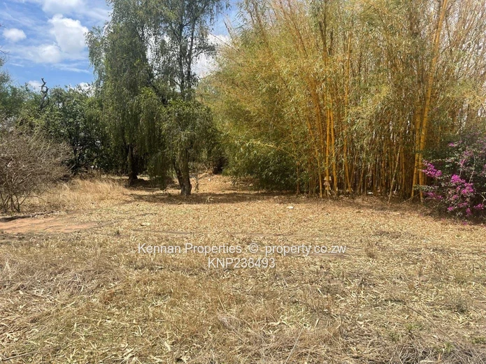 Hatfield 7600 s/mtrs property for sale (Sole Mandate)