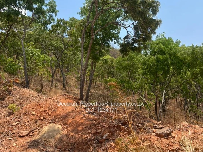 Prime 3,400ha plot in Umwinsidale — Tarred Access