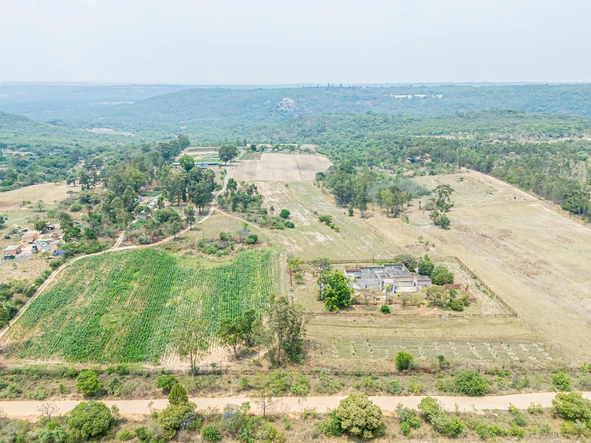 Farm & Agricultural Land