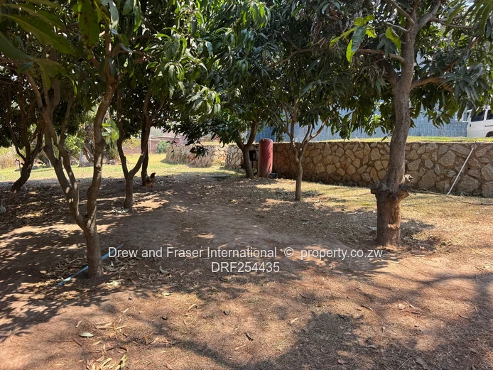 Glen Lorne: 5-Bed Family Home with Pool & Large Grounds