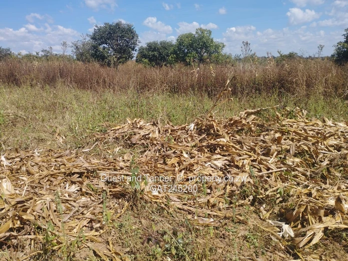 Residential Land For Sale In Buckland Terraces Estate Pomona