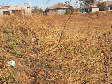 Stands & Residential Land