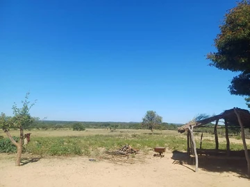 Farm & Agricultural Land