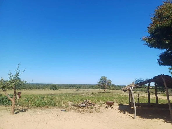 Farm & Agricultural Land