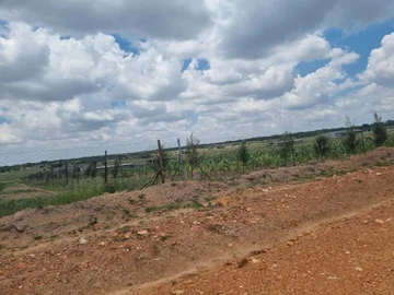 Farm & Agricultural Land