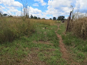 Stands & Residential Land