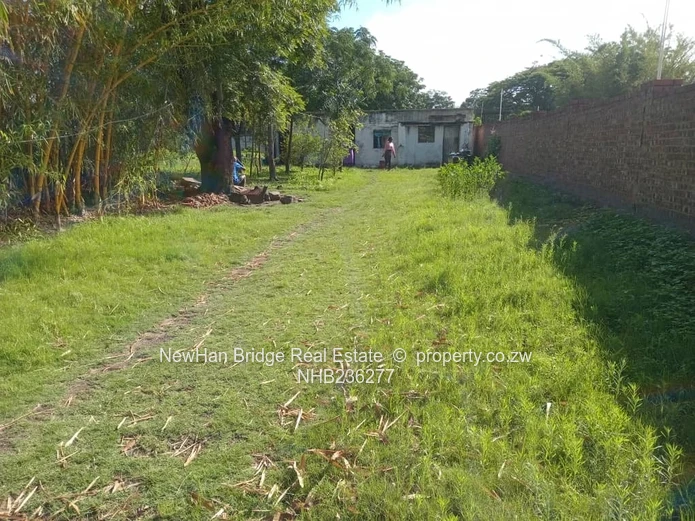 2300 m² Highfield Land with Cottage— Fenced & Tree-Shaded