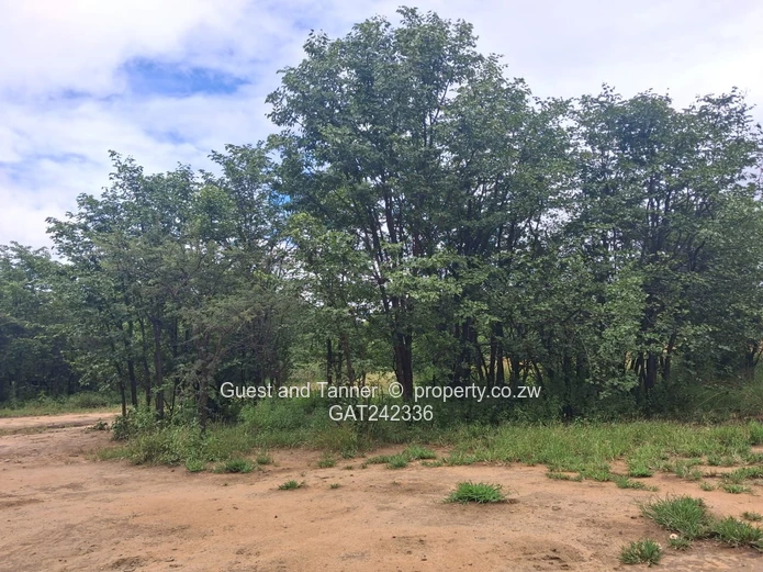 60-hectare Plot For Sale In Beatrice