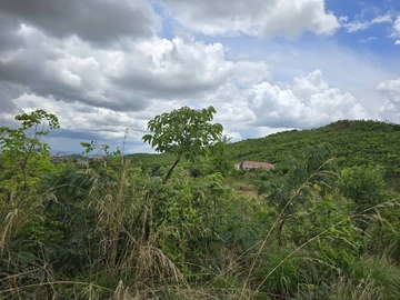 Commercial & Industrial Land