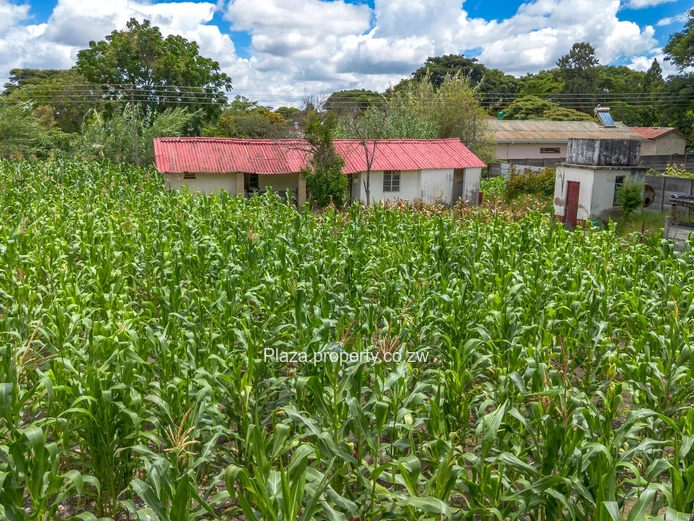 2000sqm Panhandle Stand With A Cottage In Athlone (Sole Mandate)