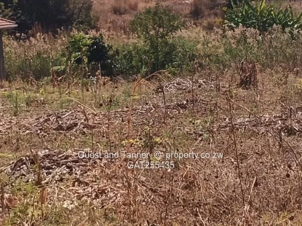 Charlotte Brooke – 2,000Sqm Stand With Title Deeds For Sale