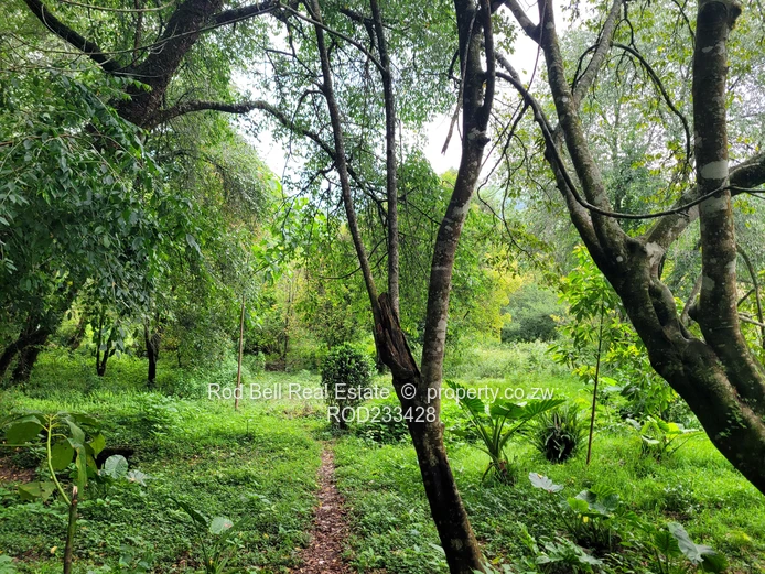 Holiday home with stunning views of the mountains