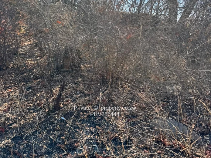 20HA FARM FOR SALE | ZVIMBA / NORTON USD 220,000 Going concern. Title deed. Surveyed.