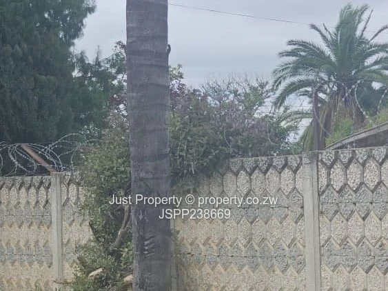 Renovator’s Delight 