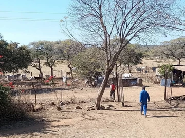 Farm For Sale