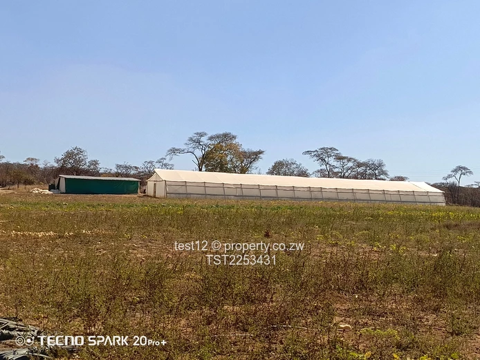 Mazowe Farm For Sale  (Sole Mandate)