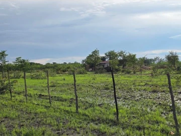 Farm & Agricultural Land