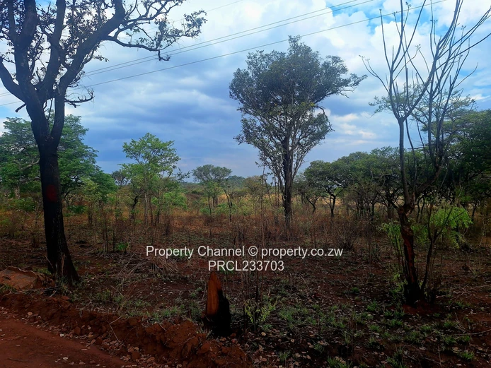 Own a piece of Paradise!